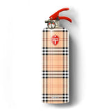 Not-Your-Ordinary Fire Extinguisher