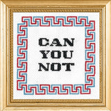 Subversive Cross Stitch Kit