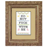 Subversive Cross Stitch Kit