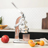 Mexican Citrus Juicer