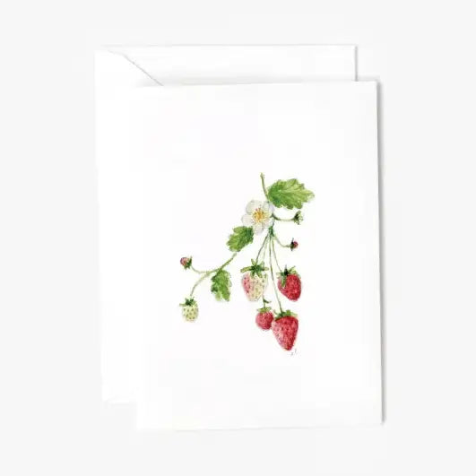 Emily Lex Enclosure Cards